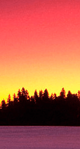 web design austrelia, Ecommerce websites india